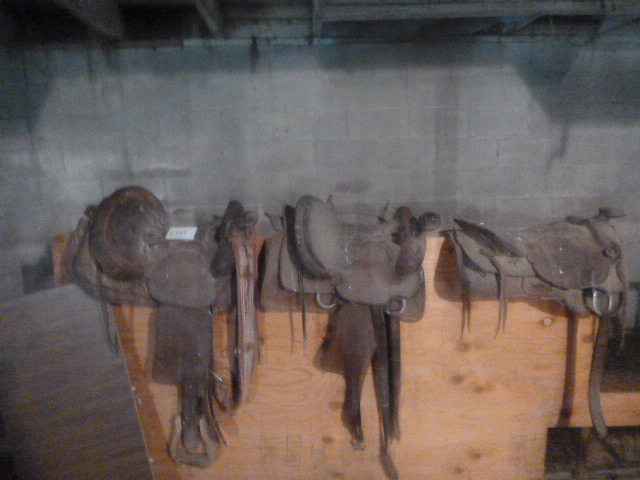 lot 204 image: 3 Horse Saddles