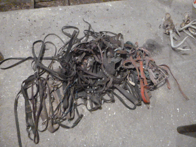 lot 205 image: Miscellaneous Horse Reins