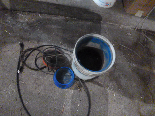 lot 213 image: Heated Water Bucket