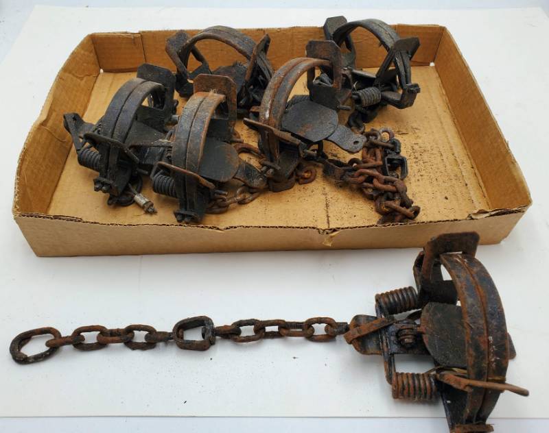 lot 60 image: (6) 1-12 Foothold Traps