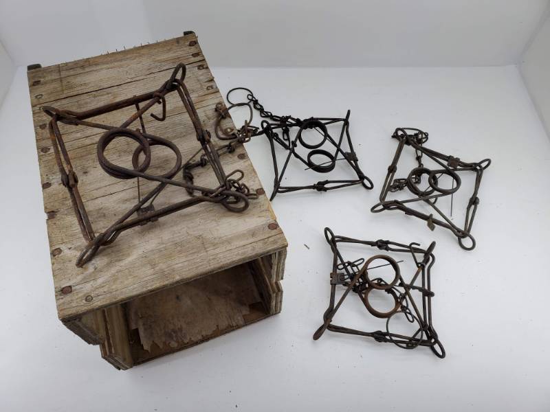 lot 67 image: (4) Conibear Traps & 1 Box