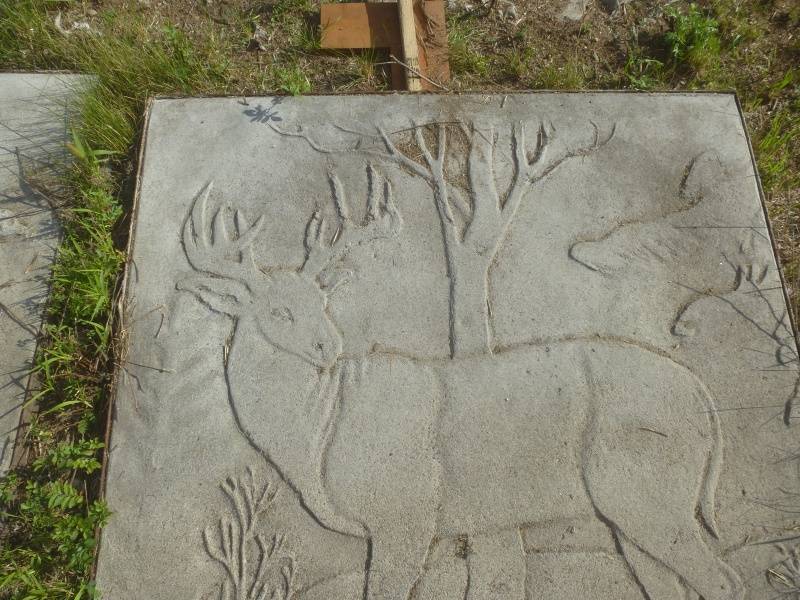 lot 172 image: Deer Stamped Concrete Pad