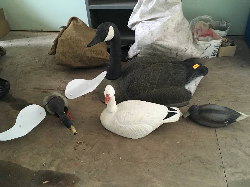 lot 13 image: Duck Geese Decoys