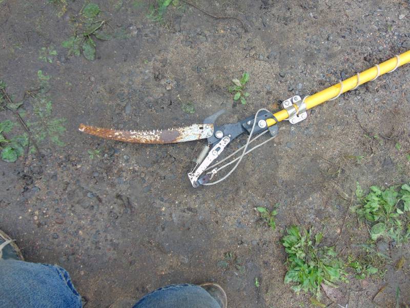lot 112 image: Tree Branch Saw