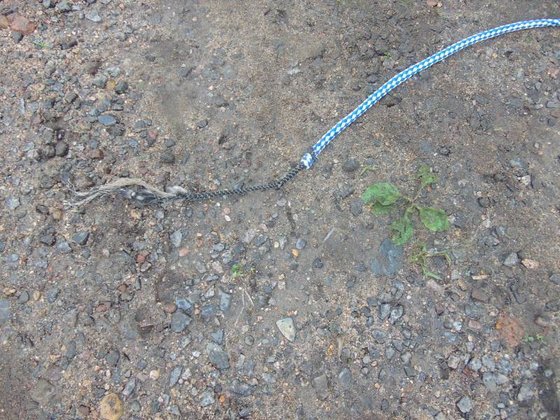 lot 114 image: Whip