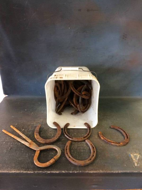 Bucket of Horse Shoes