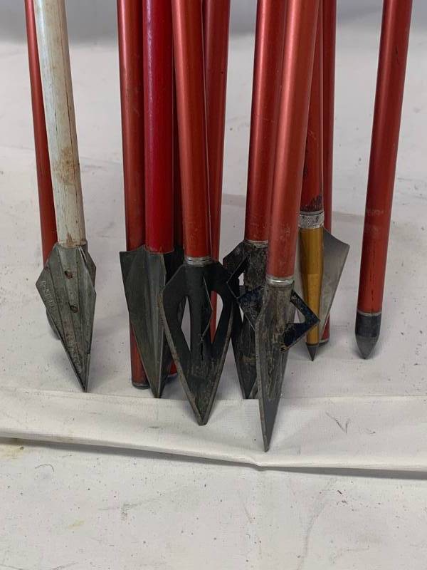 lot 12 image: Lot of Razor Tipped True Flight Arrows