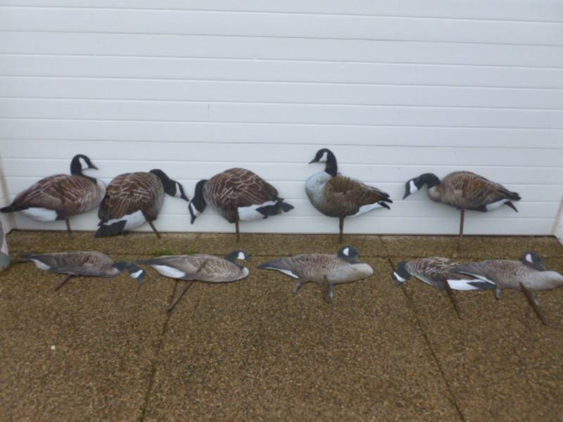 lot 83 image: Goose Decoys