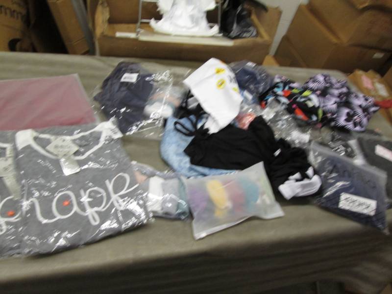 lot 103 image: Large Lot Assorted Sizes Ladies Clo...