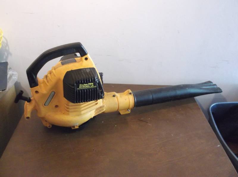 lot 57 image: Leaf Blower