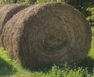 lot 3 image: Hay Bales