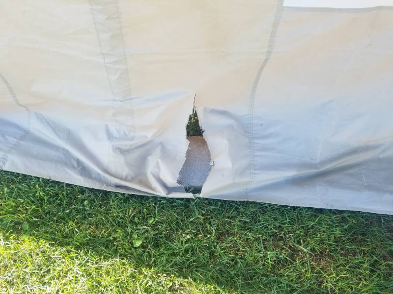 lot 11 image: Tent