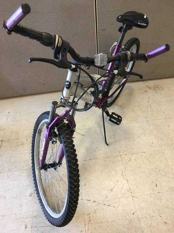 lot 26 image: Magna Great Divide Bicycle
