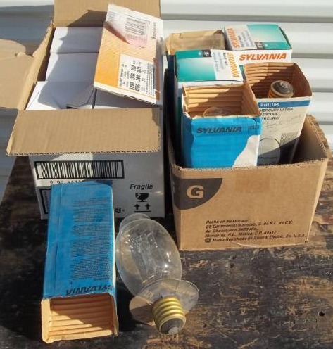 lot 481 image: Large Light Bulbs