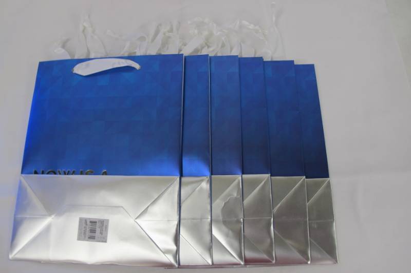 lot 100 image: 6 Pack of Gift Bags - Large - NOW IS A GOOD TIME TO LOWER YOUR EXPECTATIONS - BlueSilver
