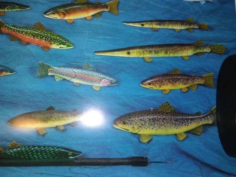 lot 339 image: John Jensen fish decoy print. Number 397  1000 signed.