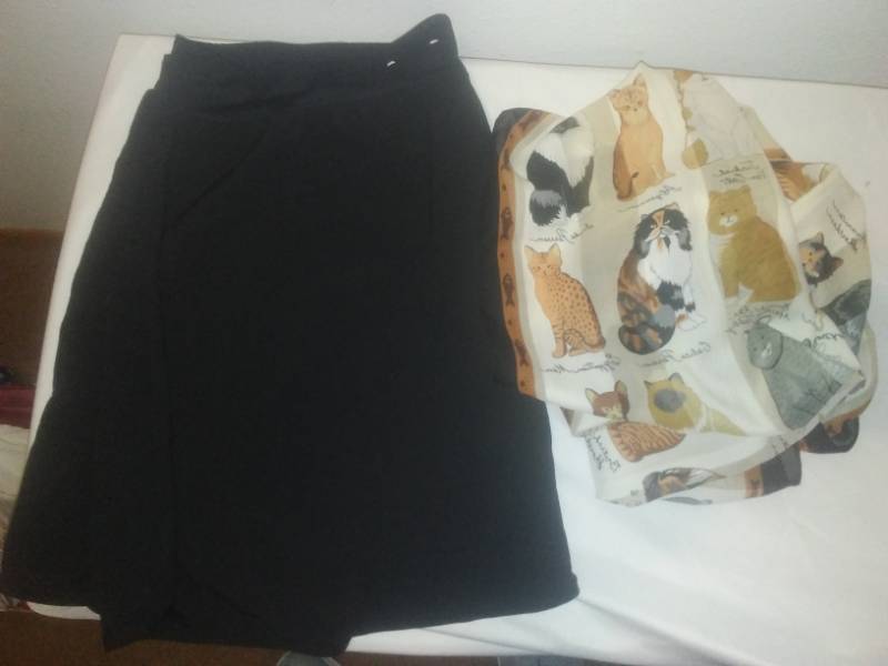 lot 365 image: Black skorts and Feline scarf.