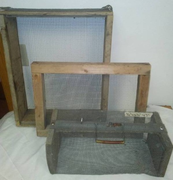 lot 114 image: 3 Live Bait boxes - minnows. 2 floaters.
