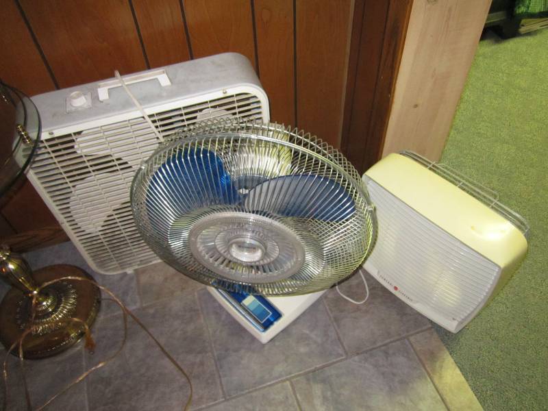 lot 45 image: Fans...