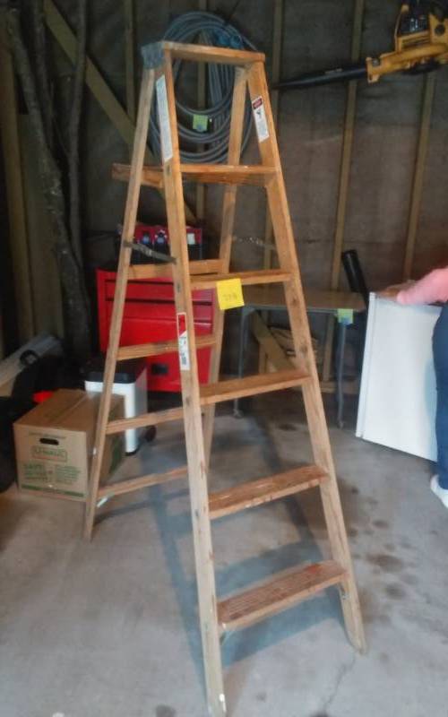 lot 9 image: Werner 6 Ft. Step Ladder (200 Lbs)