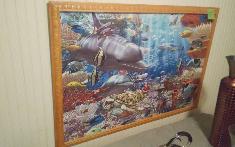 lot 34 image: Framed Sea Life Map 50x34