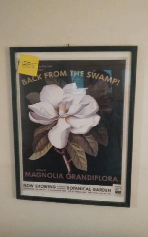 lot 46 image: Botanical Black & White Poster 19x25