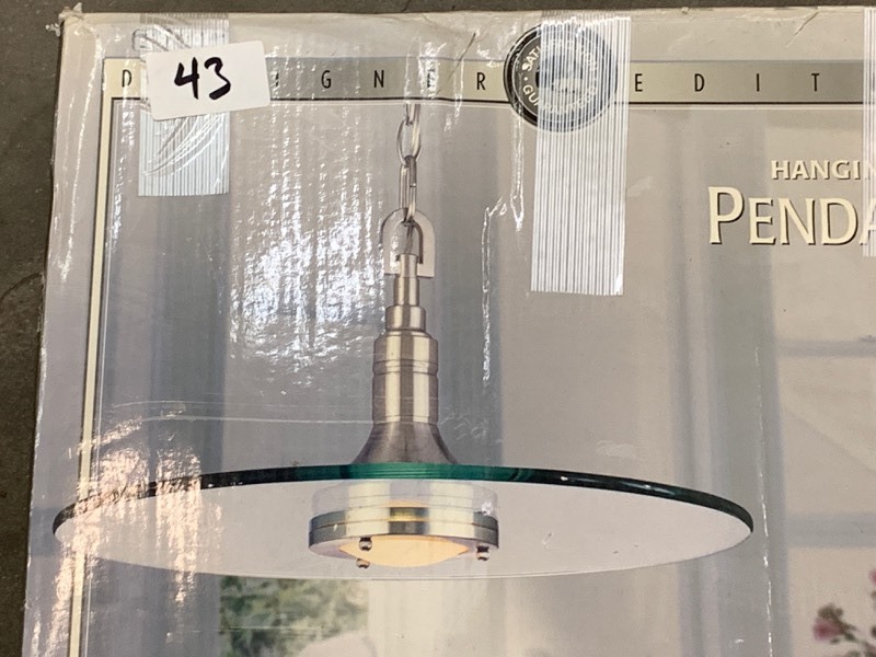 lot 43 image: Hampton Bay Hanging Pendant Light
