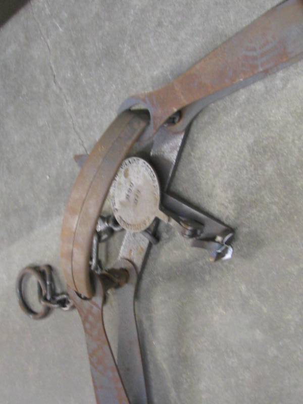 Bear Trap