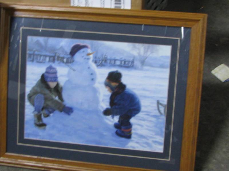 Framed Pictures