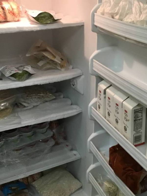 Contains of the freezer