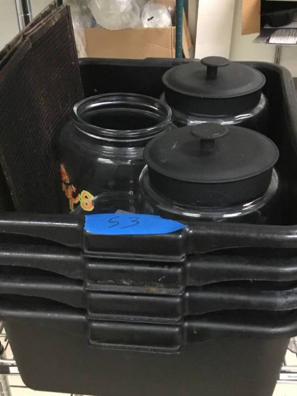 4 bus tubs and 3 glass jars 2 lids.