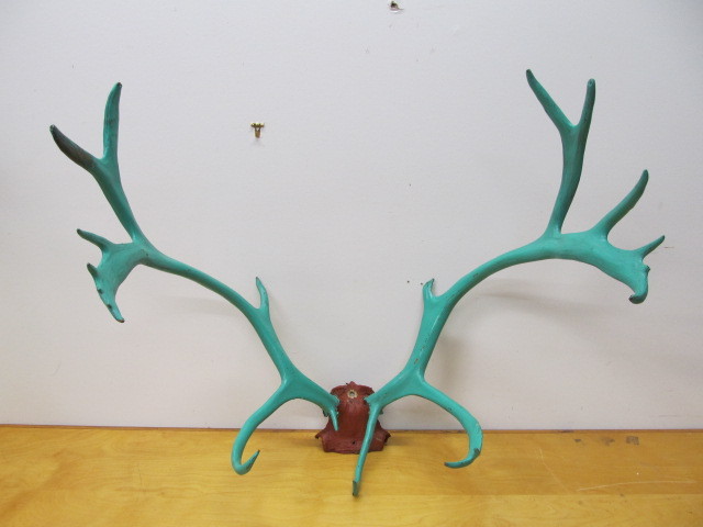 lot 47 image: LARGE Painted Genuine Caribou Antlers
