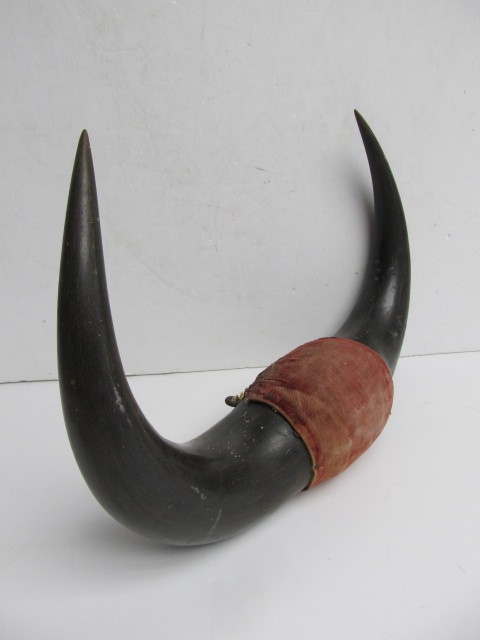lot 180 image: Old Antique Early 1900s Western Bull Horn Wall Mount