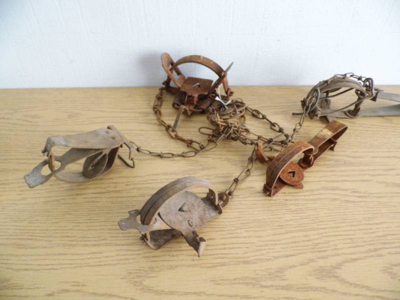 lot 2 image: Lot of 5 Traps