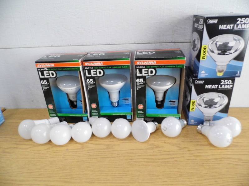 lot 40 image: LED Flood Lights - Heat Lamps - Bulbs