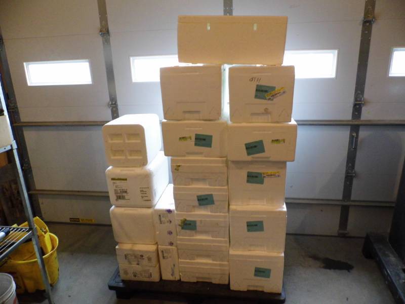 lot 27 image: Lot of 20 Commercial Grade Styrofoam Coolers