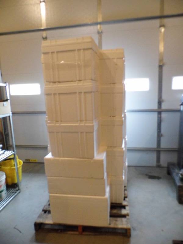 lot 42 image: Lot of 26 Commercial Grade Styrofoam Coolers