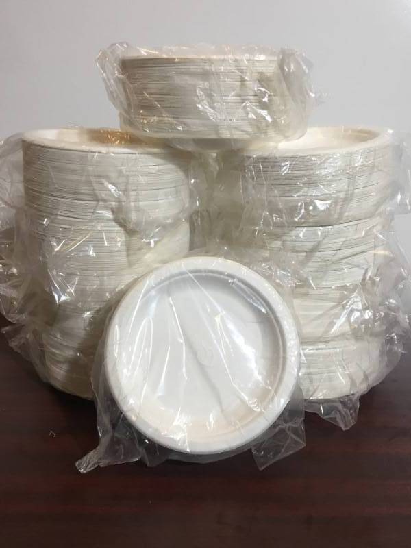 lot 50 image: ECO Disposable Plates