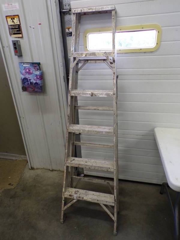 lot 131 image: 6 Aluminum Step Ladder