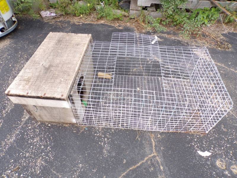 lot 141 image: Animal Cage