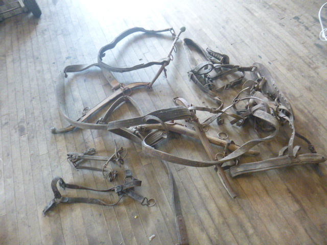 lot 102 image: Old Horse Reins