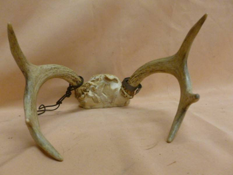 lot 104 image: Deer Antler