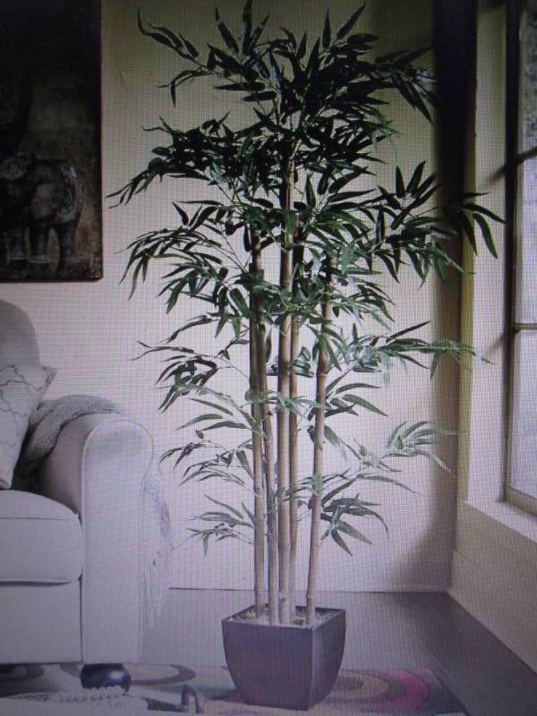 lot 23 image: Bamboo Tree open box Retail $79.99 ...