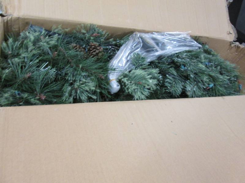 lot 54 image: Lincoln Cashmere Tree 6.5 ft open b...