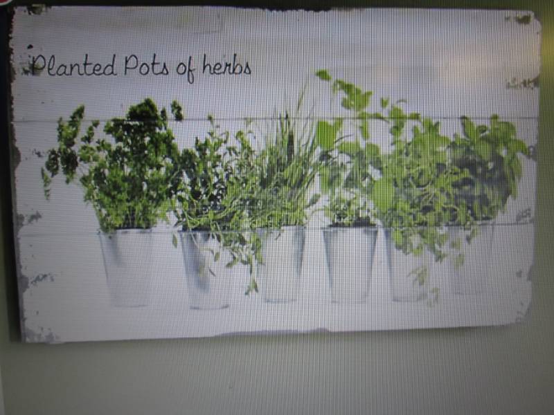 lot 78 image: Herb Garden Print open box Retail $...