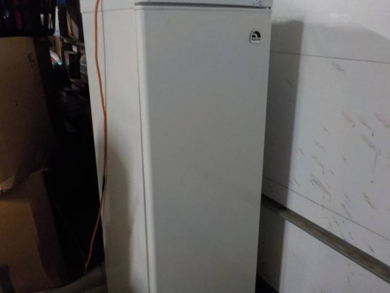 lot 176 image: Igloo Freezer 21 x 21 x57 currently...