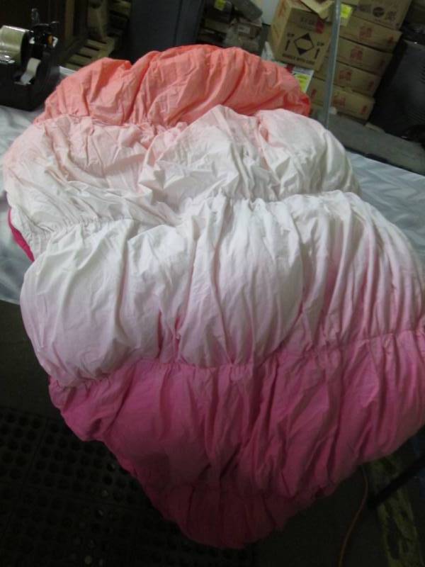 lot 22 image: Pottery Barn Teen Sleeping Bag M ...