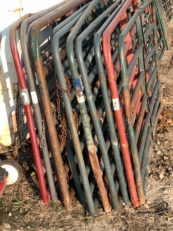lot 32 image: (11) 8ft Steel Farm Gates