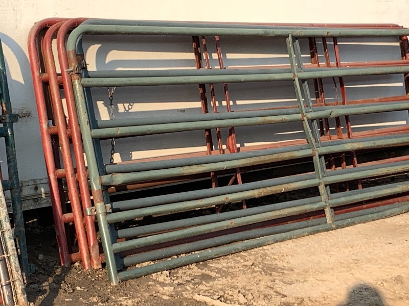 lot 35 image: (6) 12ft Steel Farm Gates