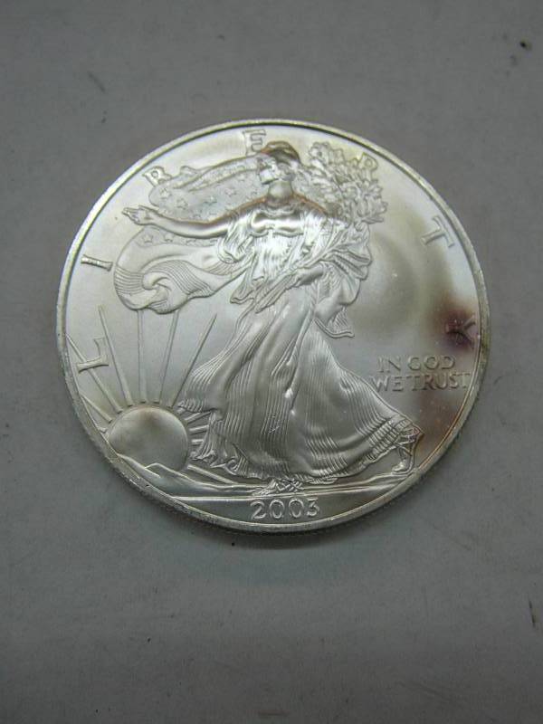lot 139 image: 2003 Liberty Coin 1oz Fine Silver $1